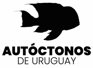 Autoctuy