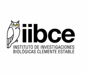 IIBCE